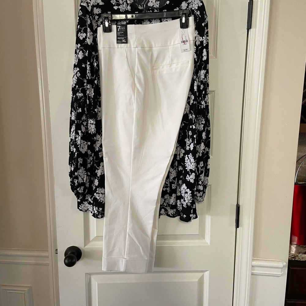 Dress pants